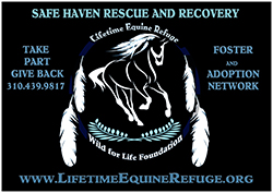 Safe Haven Network